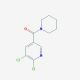 2,3-dichloro-5-(piperidin-1-ylcarbonyl)pyridine - chemical structure image