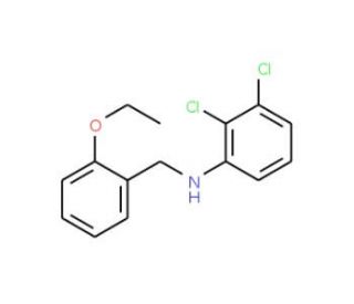 2,3-Dichloro-N-(2-ethoxybenzyl)aniline - chemical structure image