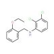 2,3-Dichloro-N-(2-ethoxybenzyl)aniline - chemical structure image