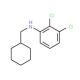 2,3-Dichloro-N-(cyclohexylmethyl)aniline - chemical structure image