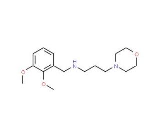 (2,3-Dimethoxy-benzyl)-(3-morpholin-4-yl-propyl)-amine - chemical structure image