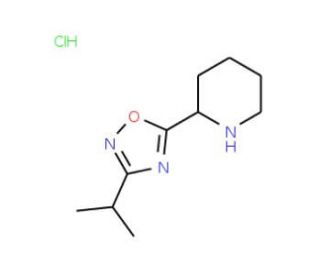 2-(3-Isopropyl-1,2,4-oxadiazol-5-yl)piperidine hydrochloride - chemical structure image