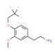 2-[3-methoxy-4-(2,2,2-trifluoroethoxy)phenyl]ethanamine - chemical structure image