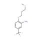 2-(3-Methoxypropoxy)-5-(trifluoromethyl)aniline - chemical structure image