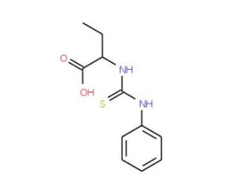 2-(3-Phenyl-thioureido)-butyric acid - chemical structure image