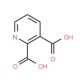 2,3-Pyridinedicarboxylic acid (CAS 339155-13-4) - chemical structure image