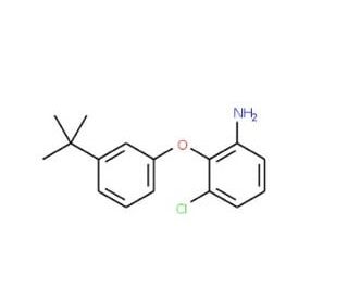 2-[3-(tert-Butyl)phenoxy]-3-chlorophenylamine - chemical structure image