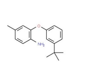 2-[3-(tert-Butyl)phenoxy]-4-methylphenylamine - chemical structure image