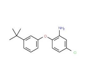 2-[3-(tert-Butyl)phenoxy]-5-chlorophenylamine - chemical structure image