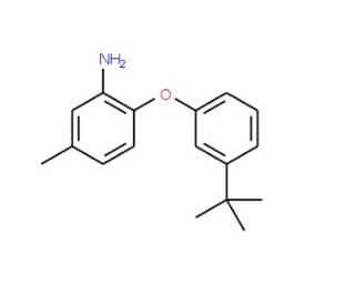 2-[3-(tert-Butyl)phenoxy]-5-methylphenylamine - chemical structure image