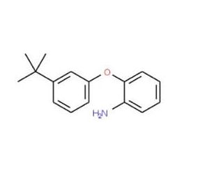 2-[3-(tert-Butyl)phenoxy]aniline - chemical structure image
