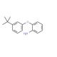 2-[3-(tert-Butyl)phenoxy]aniline - chemical structure image
