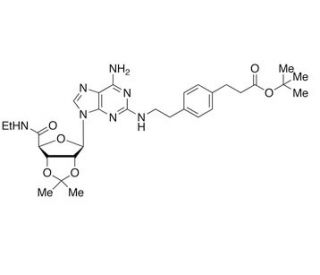 2-[[4-[2-(tert-Butoxycarbonyl)ethyl]phenylethyl]amino]2&prime;,3&prime;-O-isopropylideneadenosine-5&prime;-N-ethylcarboxamide (CAS 120225-76-5)