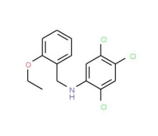 2,4,5-Trichloro-N-(2-ethoxybenzyl)aniline - chemical structure image