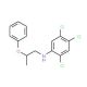 2,4,5-Trichloro-N-(2-phenoxypropyl)aniline - chemical structure image