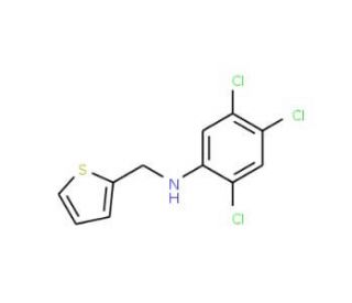 2,4,5-Trichloro-N-(2-thienylmethyl)aniline - chemical structure image