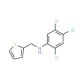 2,4,5-Trichloro-N-(2-thienylmethyl)aniline - chemical structure image