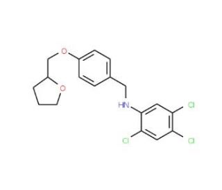 2,4,5-Trichloro-N-[4-(tetrahydro-2-furanylmethoxy)benzyl]aniline - chemical structure image