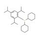 ((2,4,6 tri-isopropyl)phenyl)di-cyclohexylphosphine (CAS 303111-96-8) - chemical structure image