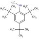 2,4,6-Tri-tert-butyl-N-methylaniline (CAS 4566-64-7) - chemical structure image