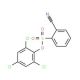 2,4,6-Trichlorophenyl 2-cyanobenzenesulfonate - chemical structure image