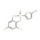 2,4,6-Trichlorophenyl 5-bromo-2-thiophenesulfonate - chemical structure image