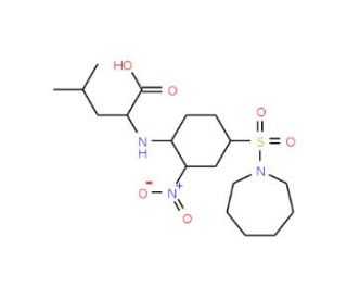 2-[4-(Azepane-1-sulfonyl)-2-nitro-phenylamino]-4-methyl-pentanoic acid - chemical structure image