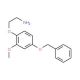 2-(4-Benzyloxy-2-methoxyphenoxy)-ethylamine (CAS 887353-05-1) - chemical structure image