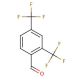 2,4-Bis(trifluoromethyl)benzaldehyde (CAS 59664-42-5) - chemical structure image