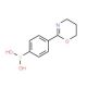 2-(4-Boronophenyl)-5,6-dihydro-4H-1,3-oxazine (CAS 850568-68-2) - chemical structure image