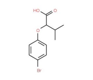 2-(4-bromophenoxy)-3-methylbutanoic acid - chemical structure image