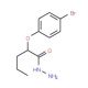 2-(4-Bromophenoxy)pentanohydrazide - chemical structure image