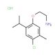 2-(4-Chloro-2-isopropyl-5-methyl-phenoxy)-ethylamine hydrochloride - chemical structure image