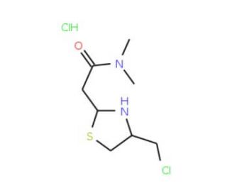 2-[4-(chloromethyl)-1,3-thiazol-2-yl]-N,N-dimethylacetamide hydrochloride - chemical structure image