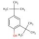2,4-Di-tert-butylphenol (CAS 96-76-4) - chemical structure image