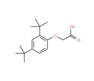 (2,4-di-tert-butylphenoxy)acetic acid (CAS 18327-79-2) - chemical structure image