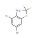 2,4-Dibromo-6-(trifluoromethoxy)aniline - chemical structure image