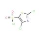 2,4-dichloro-1,3-thiazole-5-sulfonyl chloride - chemical structure image