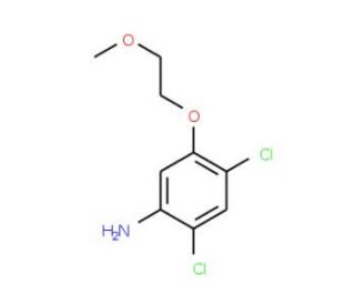 2,4-Dichloro-5-(2-methoxyethoxy)aniline - chemical structure image