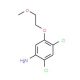 2,4-Dichloro-5-(2-methoxyethoxy)aniline - chemical structure image