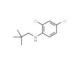 2,4-Dichloro-N-neopentylaniline - chemical structure image