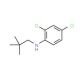 2,4-Dichloro-N-neopentylaniline - chemical structure image