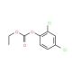 2,4-Dichlorophenyl ethyl carbonate (CAS 22876-28-4) - chemical structure image
