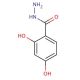 2,4-Dihydroxybenzoic acid, hydrazide (CAS 13221-86-8) - chemical structure image