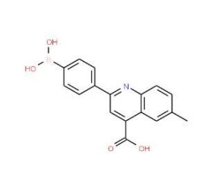 2-(4-Dihydroxyborane)phenyl-4-carboxy-6-methylquinoline (CAS 373384-16-8) - chemical structure image