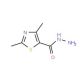 2,4-Dimethyl-thiazole-5-carboxylic acid hydrazide (CAS 99357-25-2) - chemical structure image