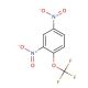 2,4-Dinitro-1-(trifluoromethoxy)benzene (CAS 655-07-2) - chemical structure image
