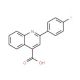 2-(4-Fluoro-phenyl)-quinoline-4-carboxylic acid (CAS 441-28-1) - chemical structure image