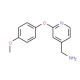 [2-(4-methoxyphenoxy)pyridin-4-yl]methanamine - chemical structure image