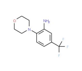 2-(4-Morpholinyl)-5-(trifluoromethyl)aniline (CAS 784-57-6) - chemical structure image
